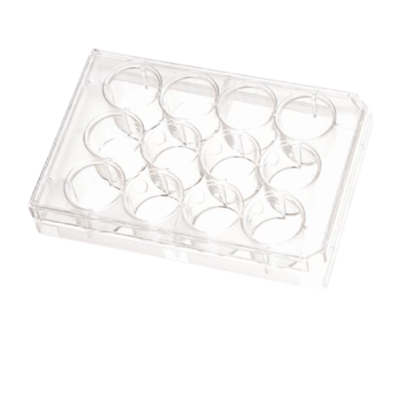 ПЛАНШЕТ КУЛЬТУРАЛЬНИЙ BIOLITE 12-ЛУНКОВИЙ ПЛАСКОДОННИЙ? 3.8 СМ² З КРИШКОЮ